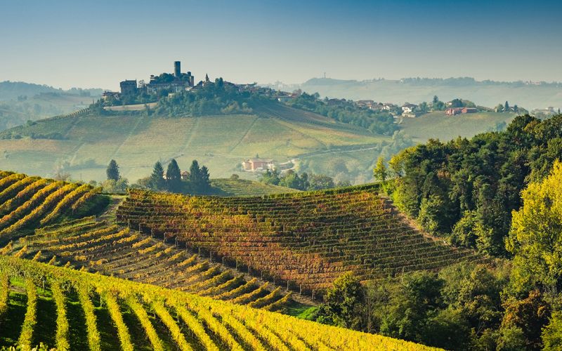 Exclusive Barolo Wine Experience