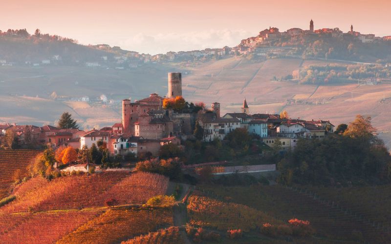 Exclusive Barolo Wine Experience