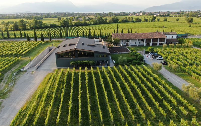 Exclusive Barolo Wine Experience