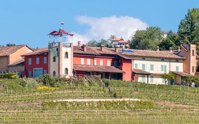 Exclusive Barolo Wine Experience