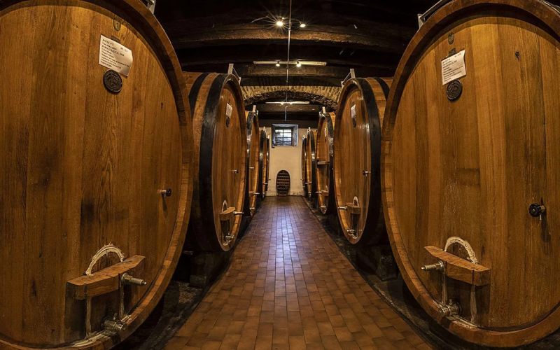 Exclusive Barolo Wine Experience