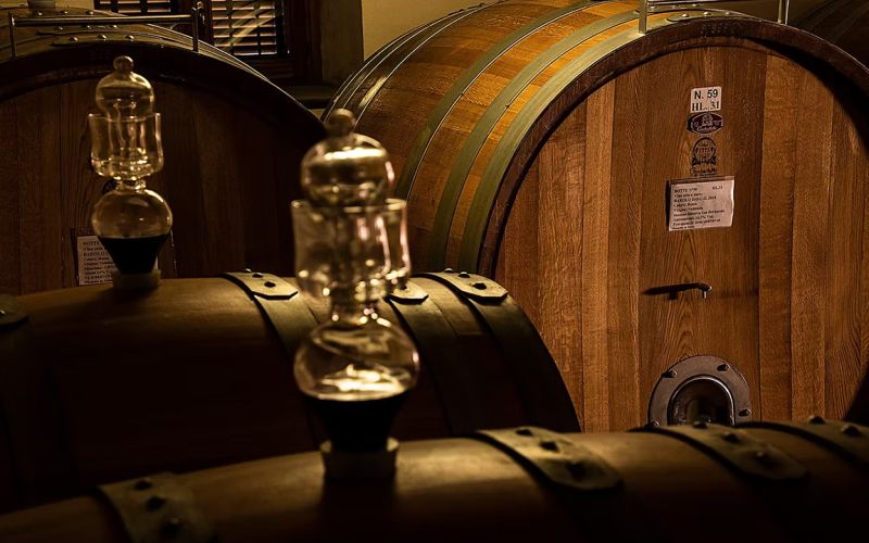 Esclusivo Tour nel Barolo con Partenza da Firenze