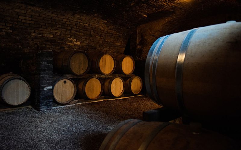 Esclusivo Tour nel Barolo con Partenza da Firenze