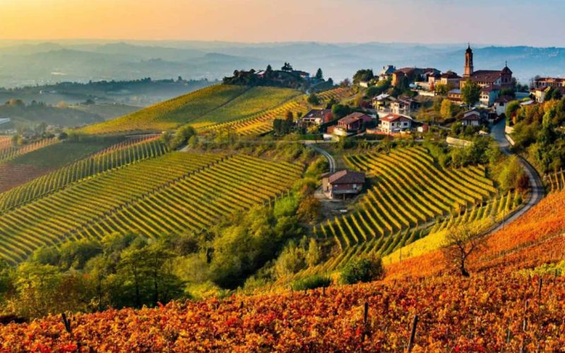 Esclusivo Tour nel Barolo con Partenza da Firenze