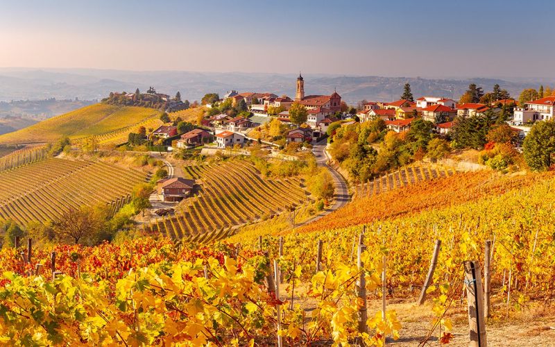 Esclusivo Tour nel Barolo con Partenza da Firenze