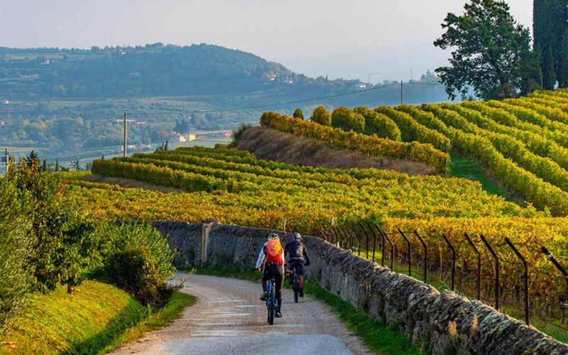 Esclusivo Tour della Valpolicella