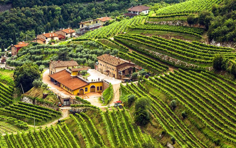 Esclusivo Tour della Valpolicella