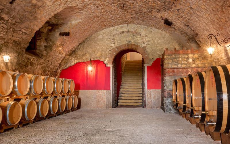 Esclusivo Tour della Valpolicella