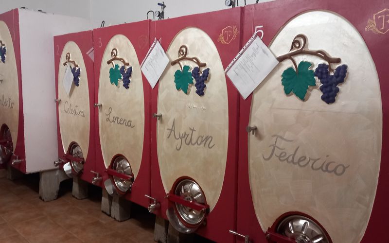 Esclusivo Tour della Valpolicella