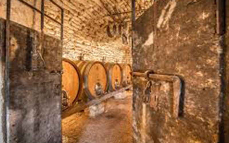 Esclusivo Tour della Valpolicella