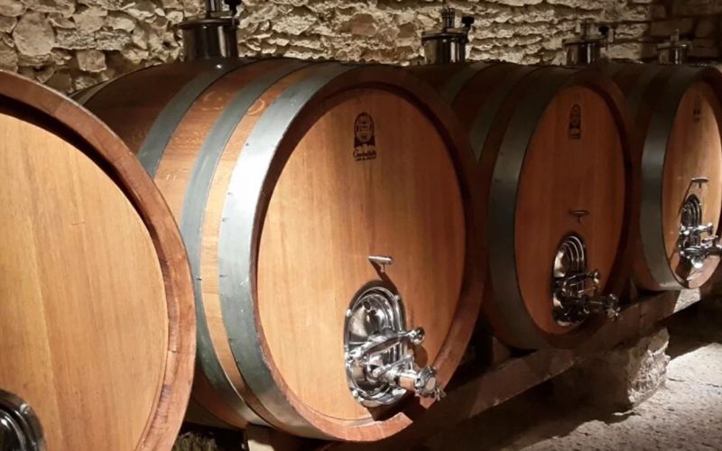 Esclusivo Tour della Valpolicella