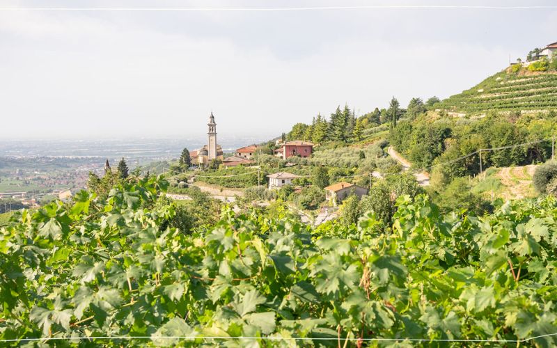 Esclusivo Tour della Valpolicella