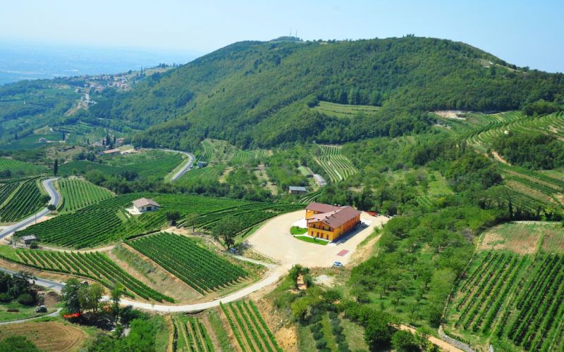 Esclusivo Tour della Valpolicella